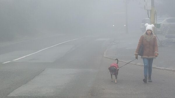 Devojka šeta psa po magli - Sputnik Srbija