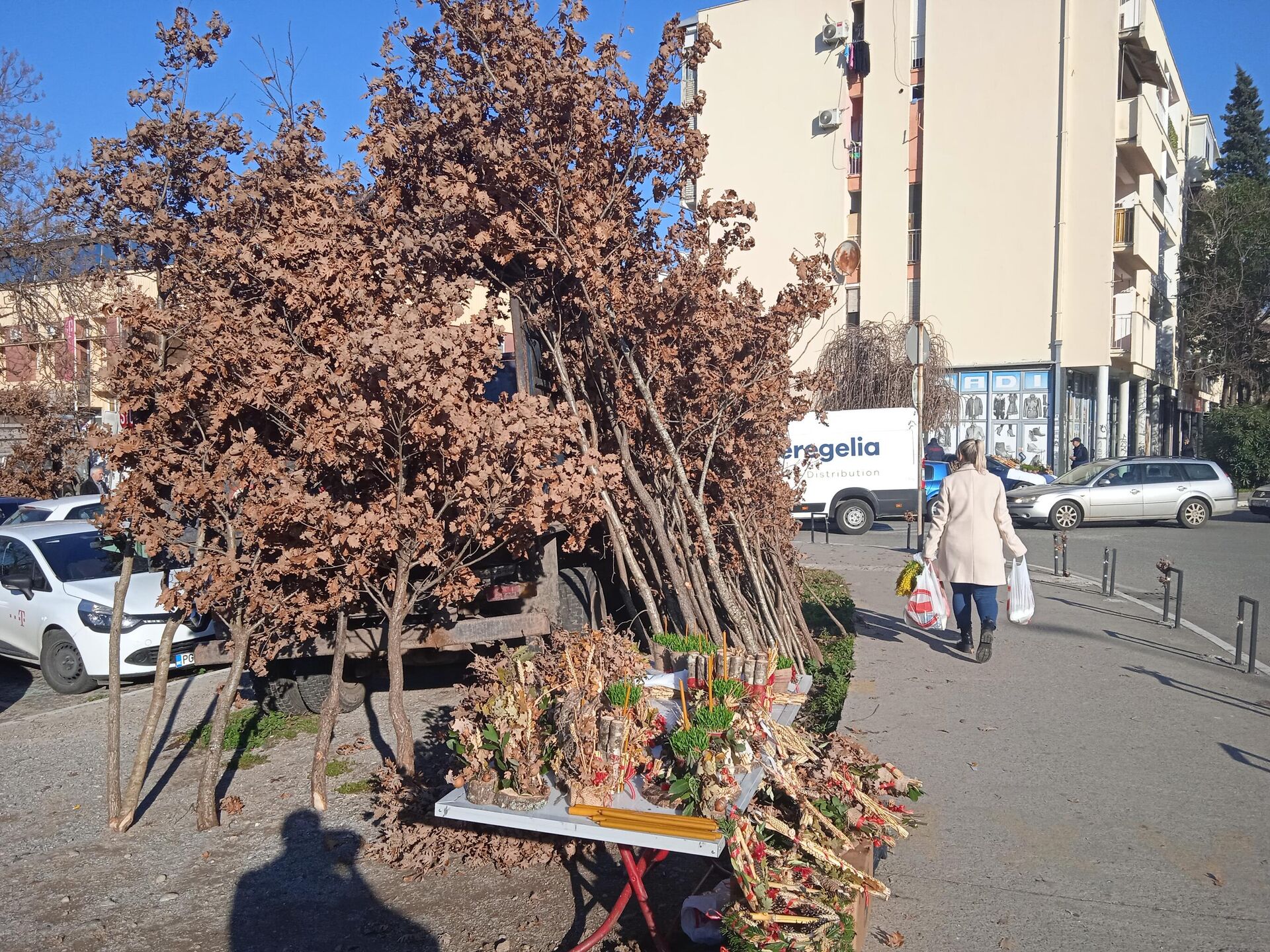 Badnjaci se prodaju širom Crne Gore. - Sputnik Srbija, 1920, 05.01.2026