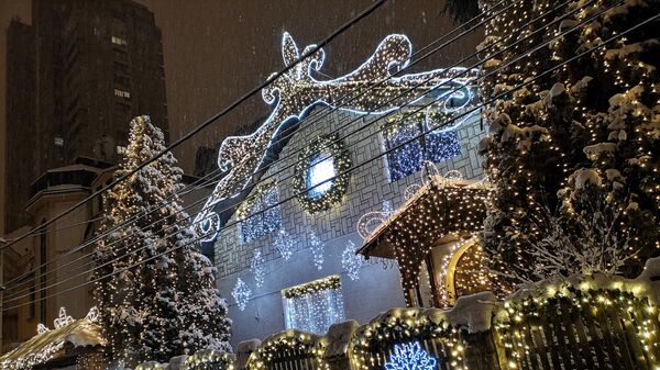 Најлепше украшена кућа за новогодишње празнике - Sputnik Србија