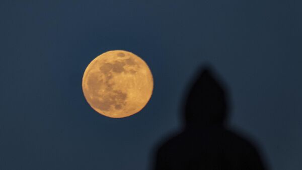 Vučji mesec na nebu iznad Los Anđelesa - Sputnik Srbija