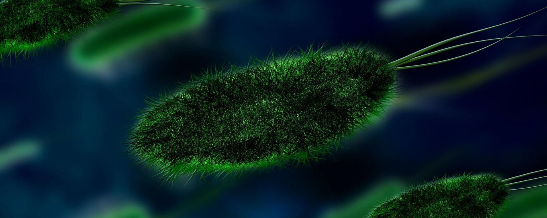 Вируси — илустрација - Sputnik Србија, 1920, 30.08.2025