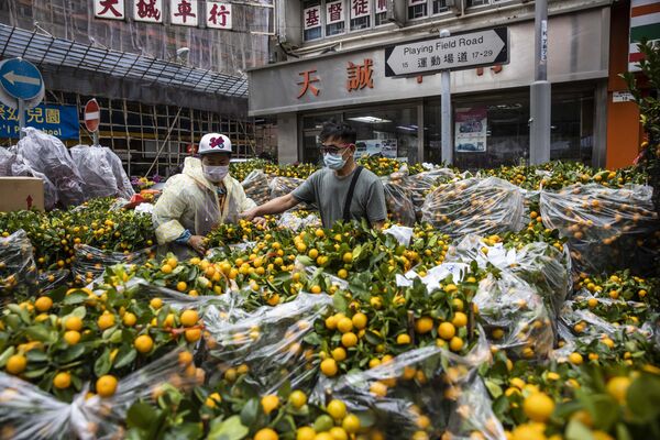 Мушкарац продаје дрвеће кумквата на тезги у Хонгконгу 12. јануара 2023. уочи лунарне Нове године зеца, која пада 22. јануара. - Sputnik Србија