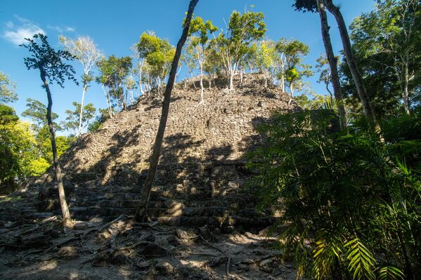Поглед на пирамиду Ла Данта на археолошком налазишту Ел Мирадор које је откривено новијом технологијом.  - Sputnik Србија