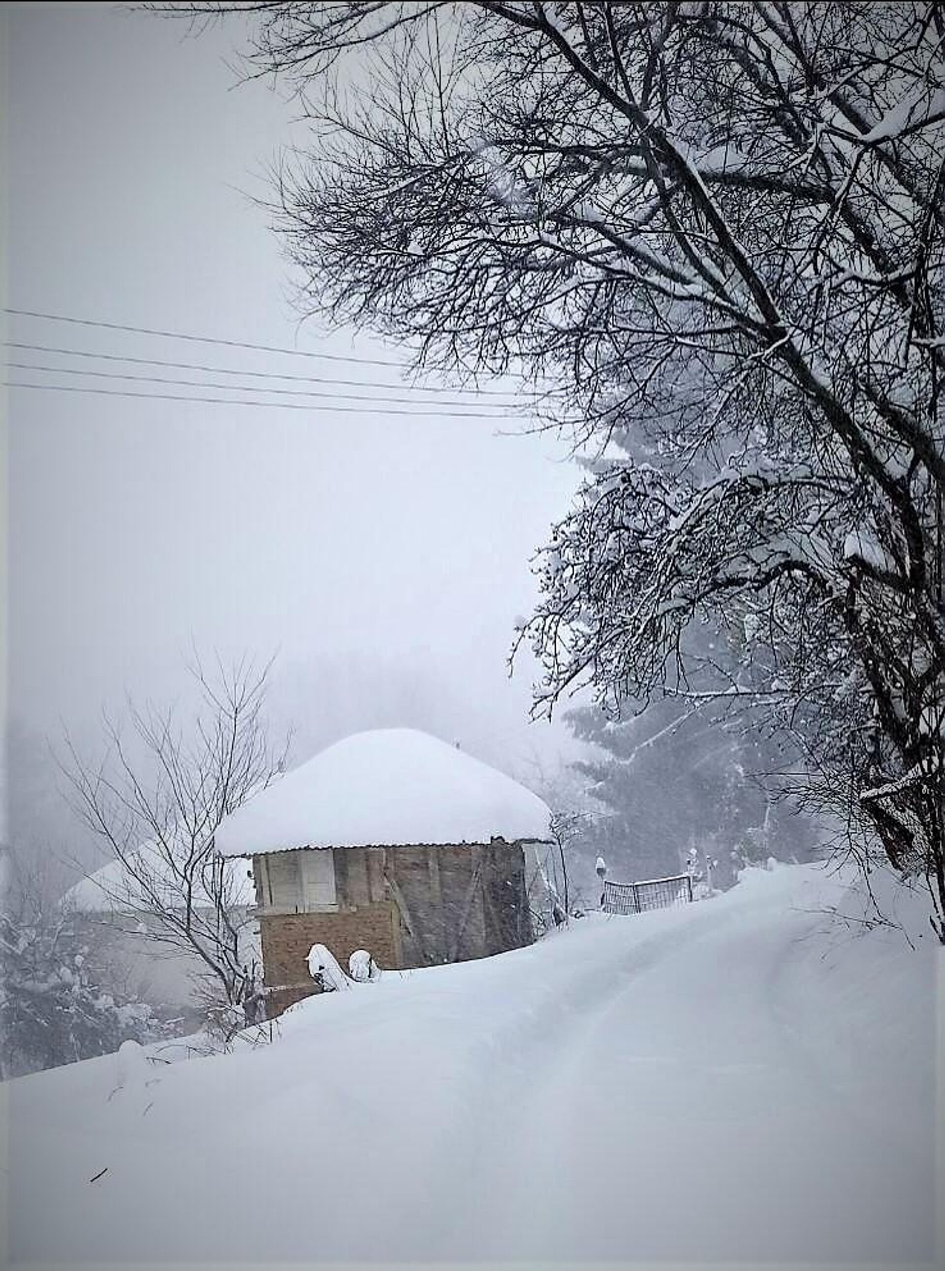 Снег у пределима Власинског језера - Sputnik Србија, 1920, 04.02.2023