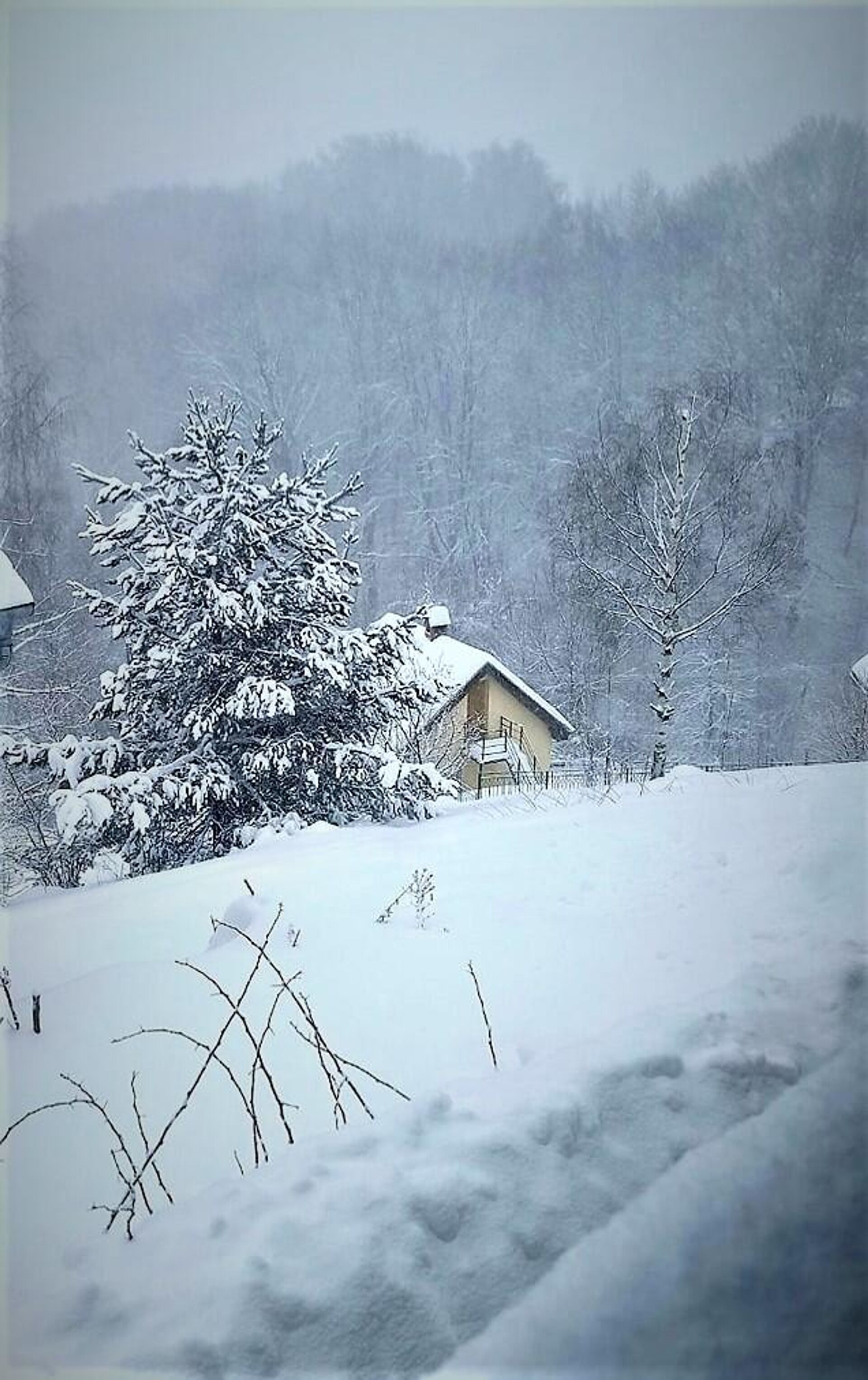 Sneg u predelima Vlasinskog jezera - Sputnik Srbija, 1920, 04.02.2023