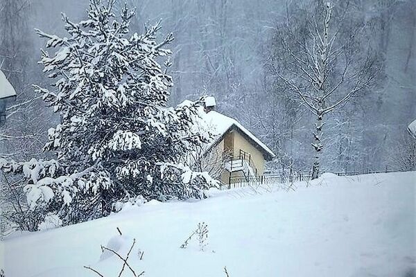 Sneg u predelima Vlasinskog jezera - Sputnik Srbija