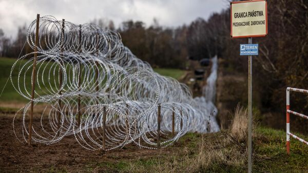 Жичана ограда на пољско-руској граници у Калињинградској области - Sputnik Србија