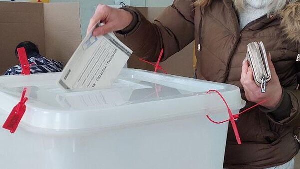 Избори за градоначелника  - Sputnik Србија