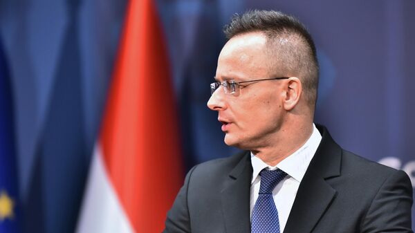 Мађарски министар спољних послова и трговине Петер Сијарто  - Sputnik Србија