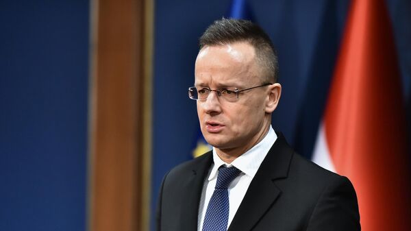 Mađarski ministar spoljnih poslova i trgovine Peter Sijarto  - Sputnik Srbija