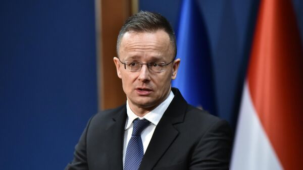 Mađarski ministar spoljnih poslova i trgovine Peter Sijarto  - Sputnik Srbija