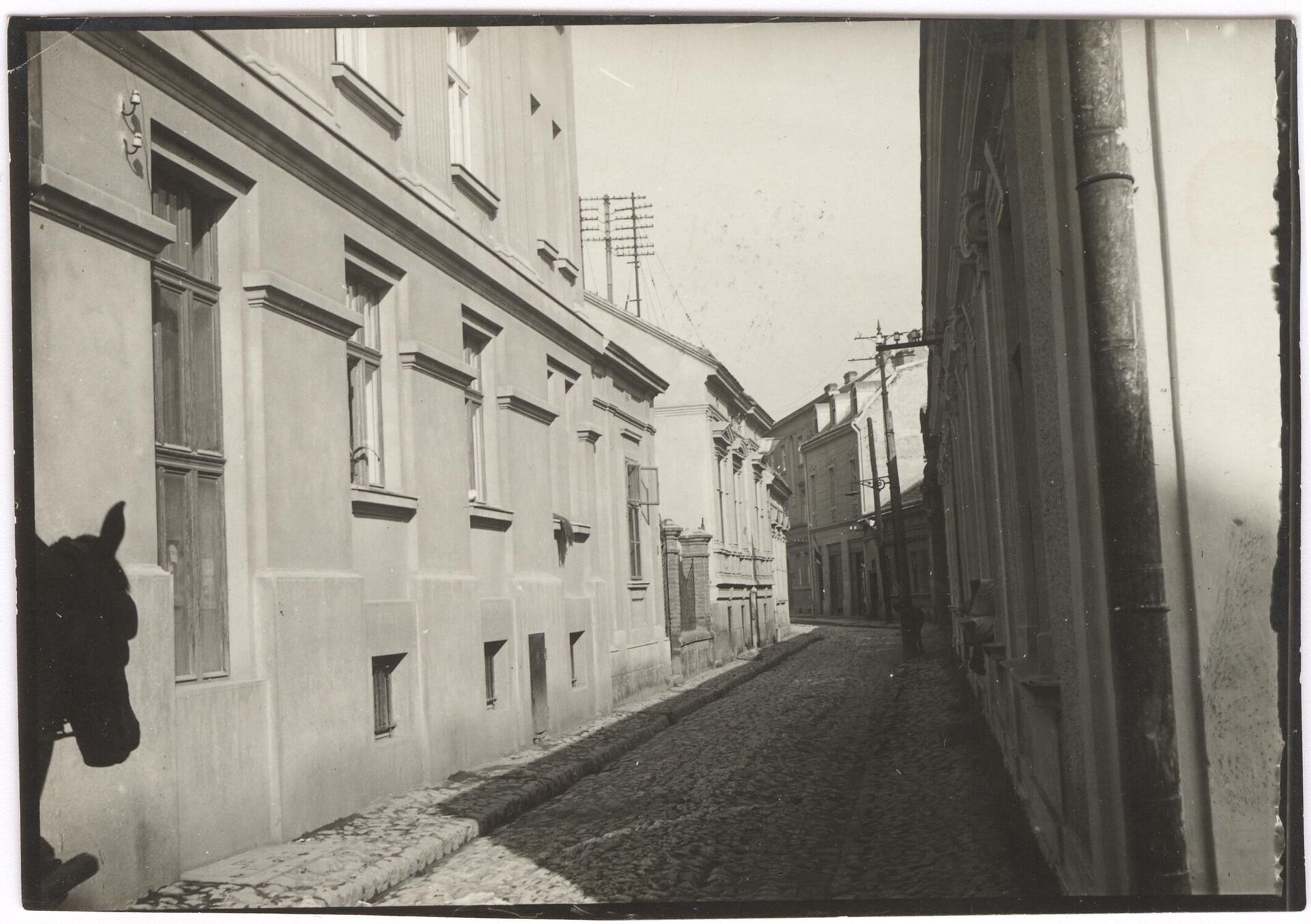 Zetska ulica - Sputnik Srbija, 1920, 18.02.2023