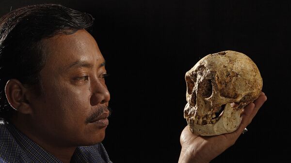 Карликовый череп найденный на острове Флорес в Индонезии - Sputnik Србија