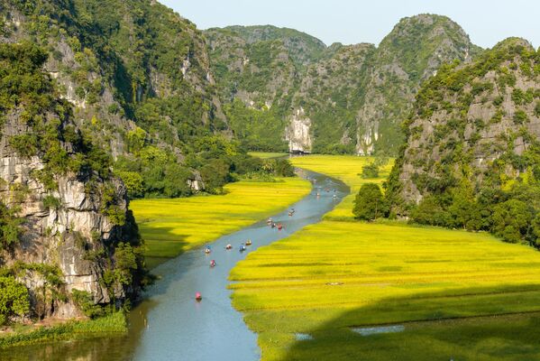 Reka Ngo Dong u Vijetnamu sa svojim žutim pirinčanim poljima - Sputnik Srbija