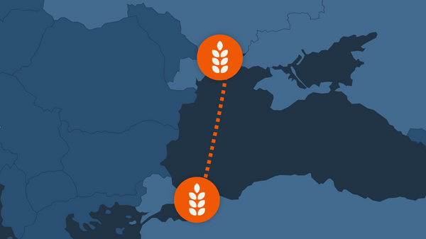 Црноморска иницијатива кавер - Sputnik Србија