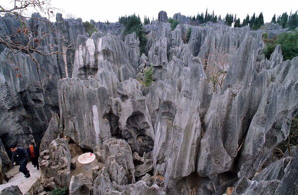 Камена шума Шилин у близини Кунминга, провинција Јинан. Јединствено место у Кини. Ова необична „шума“ постоји преко 270 милиона година, још од доба палеозоика. Позната је по својим маркантним „крш” формацијама, вапненачких торњева које се издижу из земље попут дивовских сталагмита. У мрачним пролазима између торњева налазе се базени, пећине и кривудаве стазе прекривене вегетацијом. - Sputnik Србија