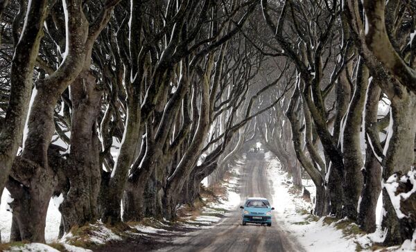 Vožnja po snežnim uslovima duž tunela drveće koji je prikazan u TV seriji Igra prestola, u  sevrnoj Irskoj.  - Sputnik Srbija