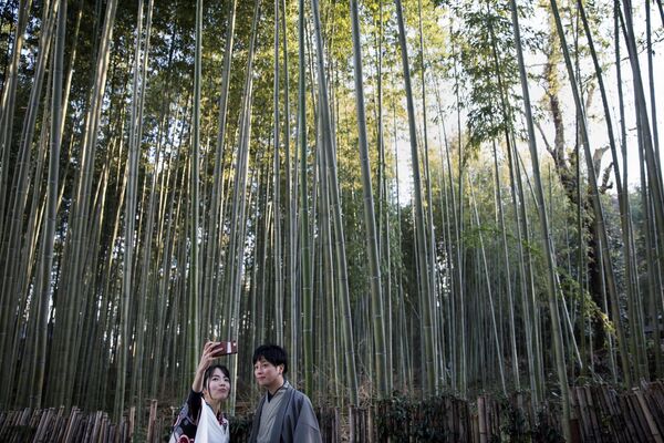 Šuma bambusa Sagano u Arašijami u prefekturi Kjoto. - Sputnik Srbija