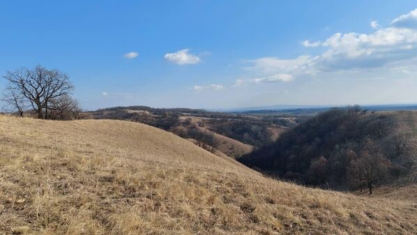 Како је на неким деловима већи проценат пропуштања воде и хранљивих материја, тако су формирани различити облици рељефа. Зато се овде могу видети зелене површине са бујном вегетацијом, густе шуме и пустињски пејзажи. - Sputnik Србија