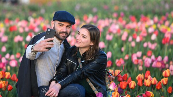 Pareja, haciendo selfies en un campo de tulipanes en Areza, Italia - Sputnik Srbija