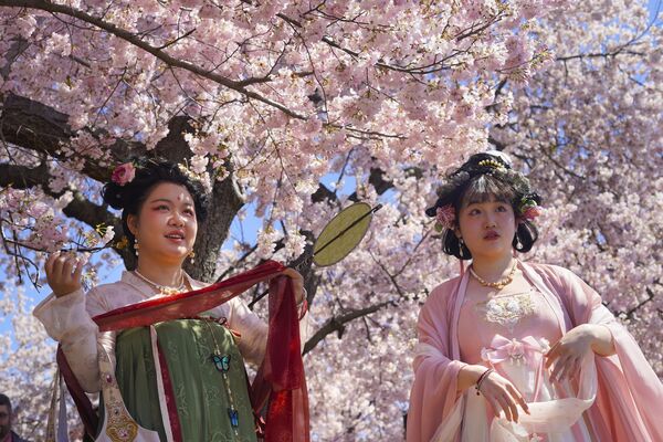 Жене у кимону под трешњиним цветом у Вашингтону, САД. - Sputnik Србија