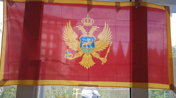 Црногорска застава на бирачком месту у Подгорици - Sputnik Србија