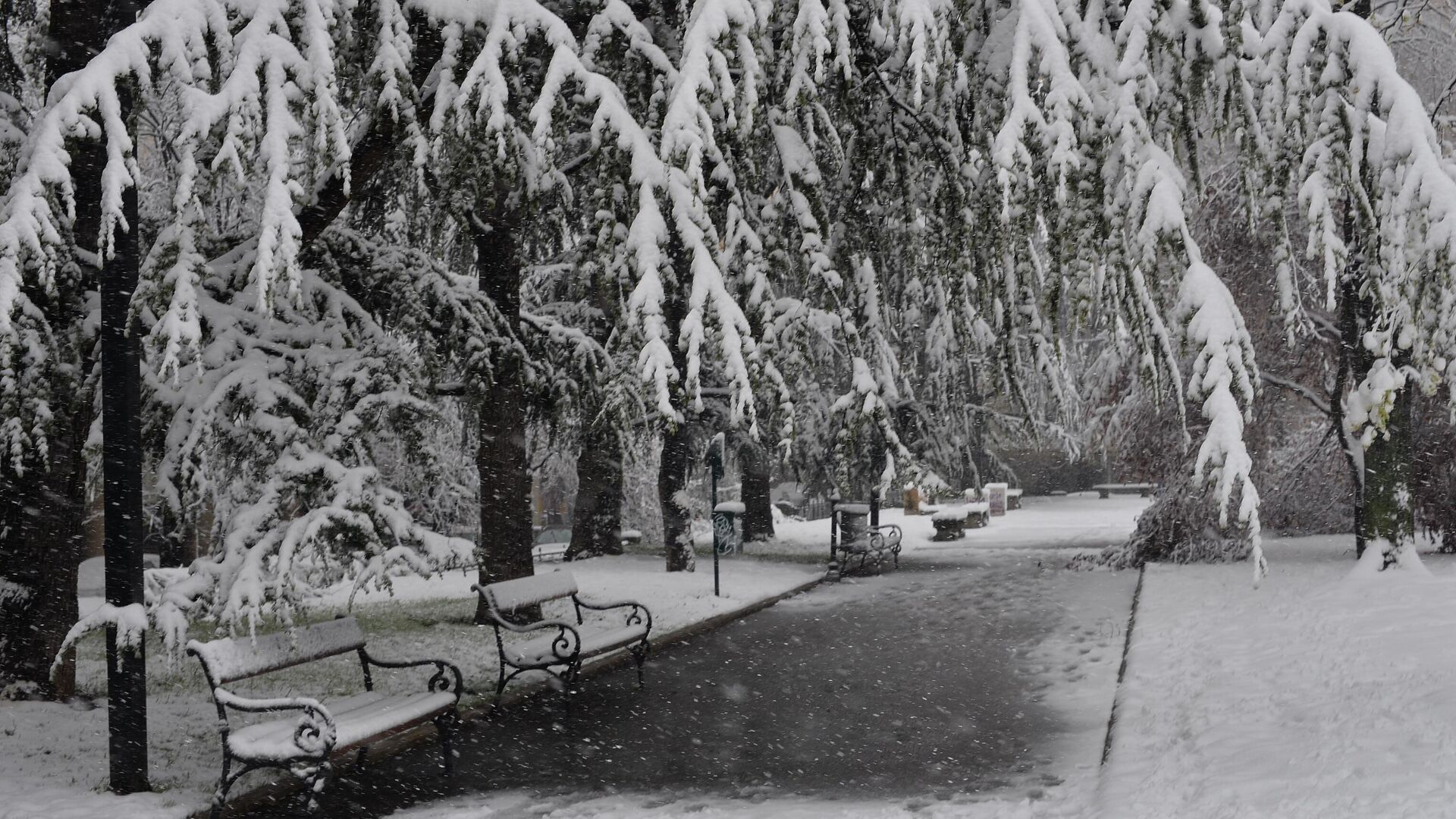 Sneg u Beogradu - Sputnik Srbija, 1920, 04.04.2023