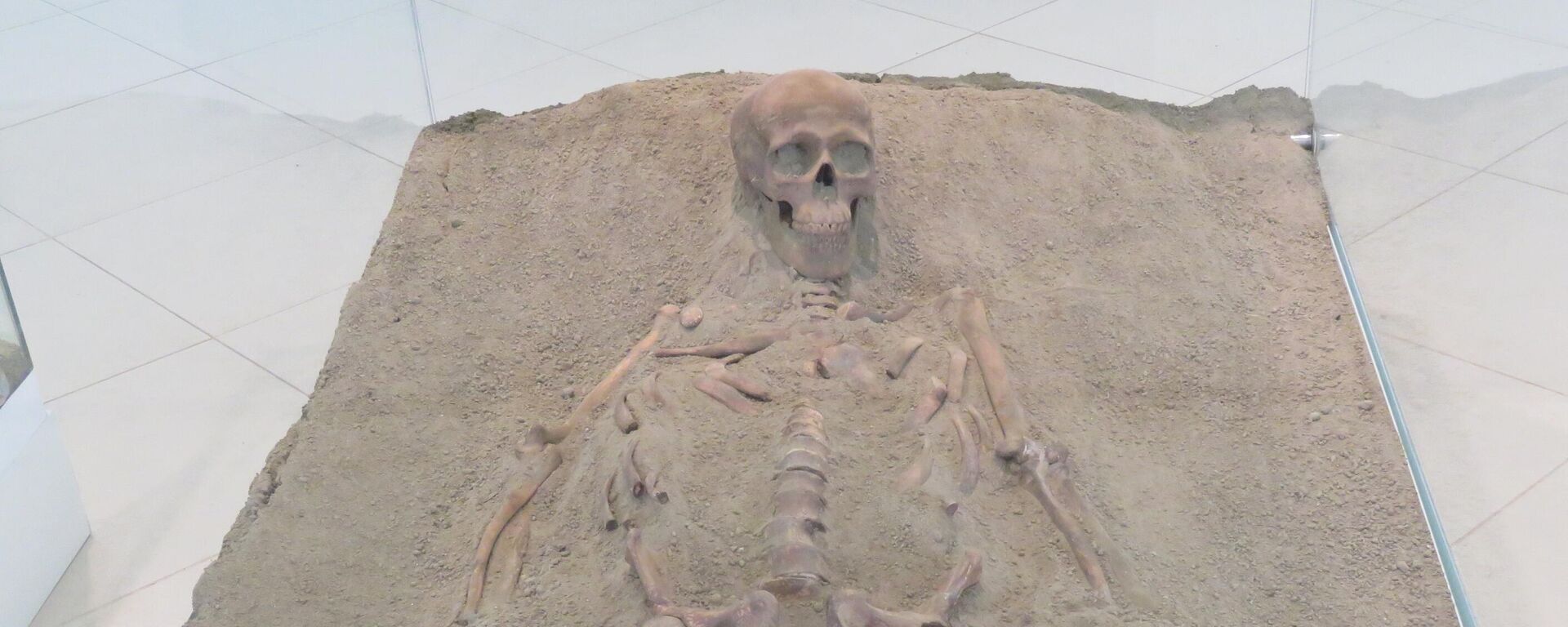 Skelet u muzeju u Lepenskom viru - Sputnik Srbija, 1920, 10.04.2023