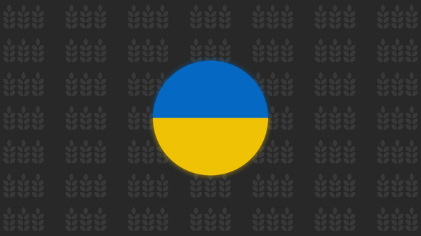 kaver  Infografika  Povećanje izvoza ukrajinskog žita u susedne zemlje - Sputnik Srbija