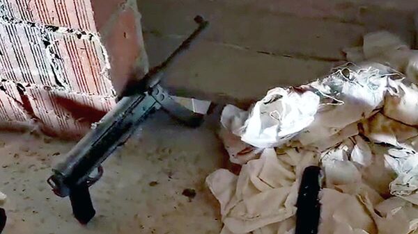 Оружје нађено приликом претреса викендице у којој је ухапшен масовни убица из Младеновца - Sputnik Србија