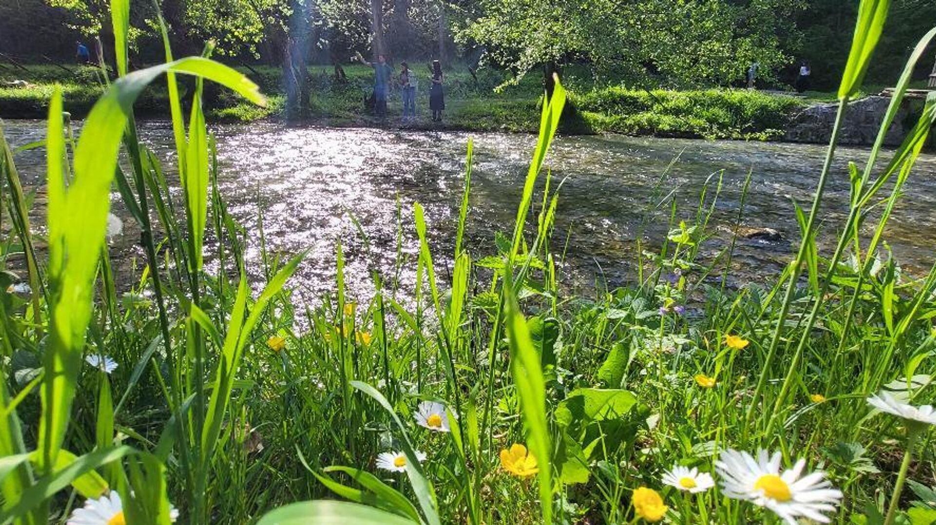 Cveće i reka Gradac, Srbija Cveće i reka Gradac, Srbija - Sputnik Srbija, 1920, 08.09.2024