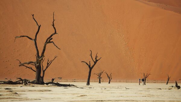 Мертвая долина в пустыне Намиб в Намибии - Sputnik Србија