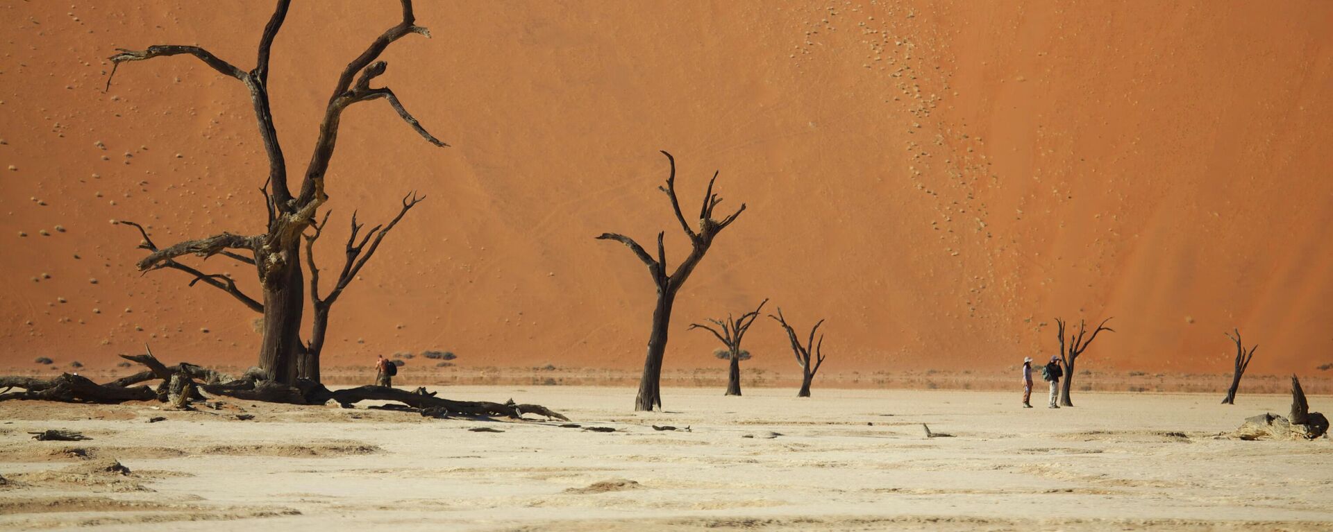 Мертвая долина в пустыне Намиб в Намибии - Sputnik Србија, 1920, 20.07.2023
