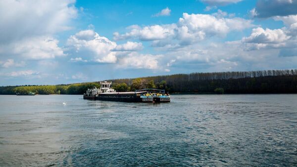 Teretni brod na Dunavu - Sputnik Srbija