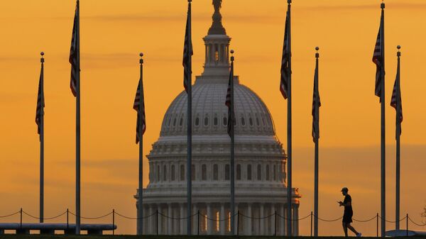 Америчке заставе испред зграде Конгреса на Капитолу - Sputnik Србија