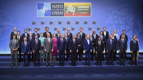 Лидери земаља-чланица НАТО-а на самиту у Вилњусу - Sputnik Србија