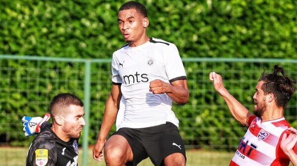 Ksander Severina, Partizan - Sputnik Srbija
