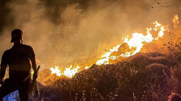 Мужчина наблюдает за пожаром на склоне холма в южном ливанском городе Ибл-аль-Саки - Sputnik Србија