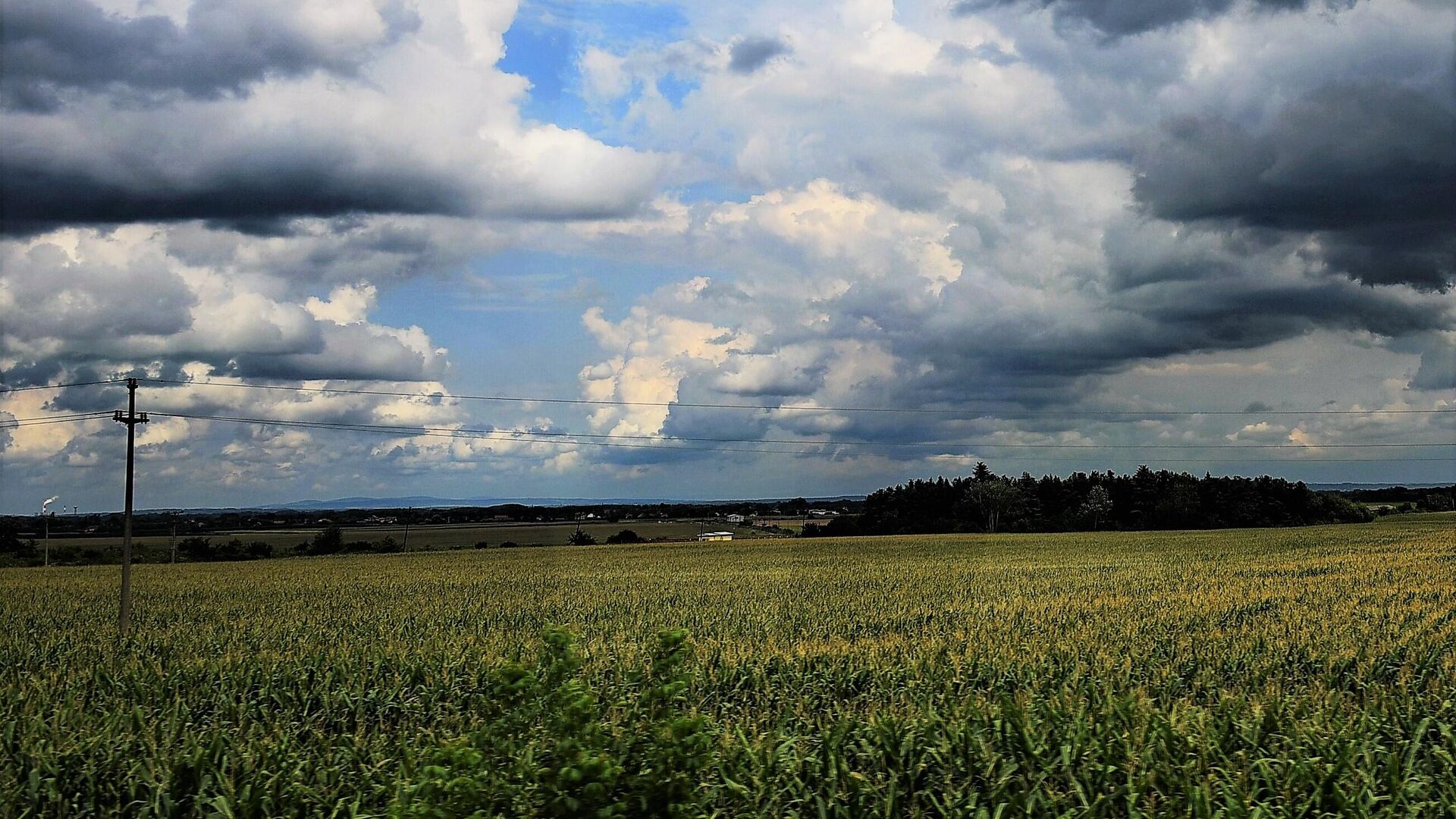 Oblaci nad poljima kukuruza - Sputnik Srbija, 1920, 19.08.2023
