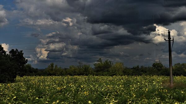 Crni  oblaci iznad polja  - Sputnik Srbija