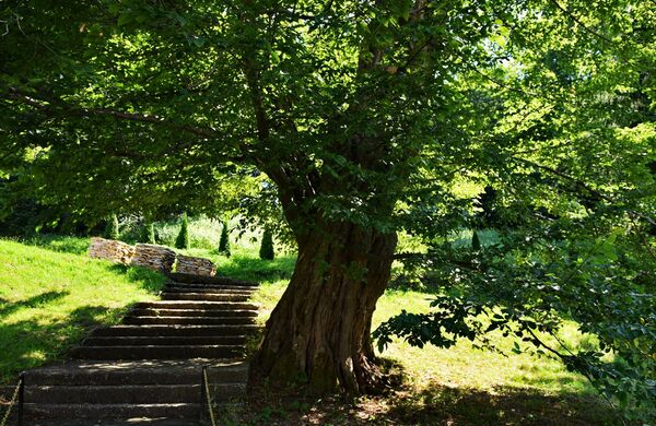 Степениште које води до цркве Светог Богојављења у Врдилима - Sputnik Србија