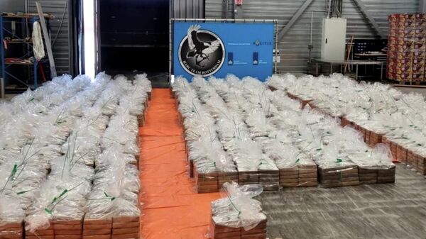 U Roterdamu zaplenjeno osam tona kokaina u kontejneru sa bananama - Sputnik Srbija