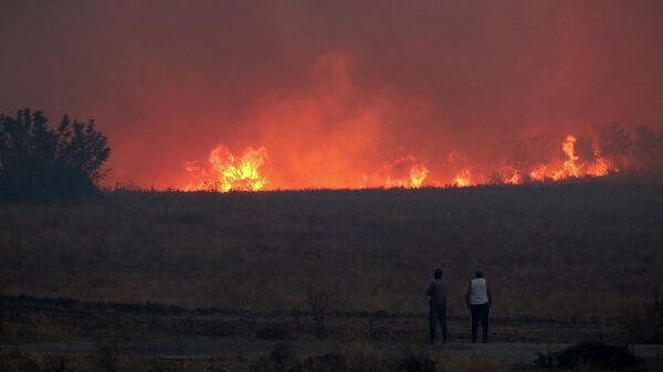 Пожар у близини града Александрополис у Грчкој - Sputnik Србија