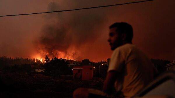 Пожар на острву Тенерифе у Шпанији - Sputnik Србија