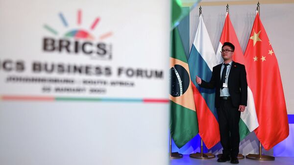 Участник бизнес-форума фотографируется у флагов стран-участниц БРИКС в Йоханнесбурге - Sputnik Србија