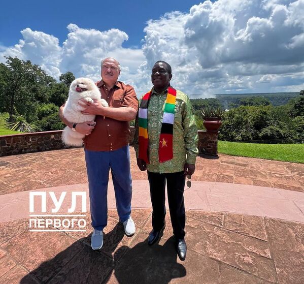 Председник Белорусије је током 31. јануара и 1. фебруара био на југу Африке, у посету Зимбабвеу.  Александар Лукашенко и Емерсон Мнангагве су осим званичног састанка имали и друге активности: председник Белорусије је посетио фарму крокодила и чувени водопад Викторија на реци Замбези. - Sputnik Србија