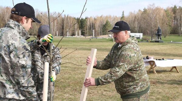 У оквиру „суботњика“ (традиционалне добровољне радне акције) на нивоу Републике, Лукашенко је са сином Николајем 22. априла сређивао парк „Хатини“.  - Sputnik Србија