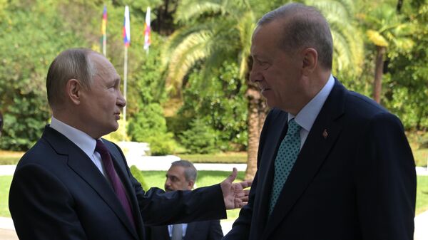 Председници Русије и Турске Владимир Путин и Реџеп Тајип Ердоган  - Sputnik Србија