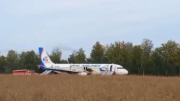 Putnički avion koji je prinudno sleteo u Novosibirskoj oblasti  - Sputnik Srbija