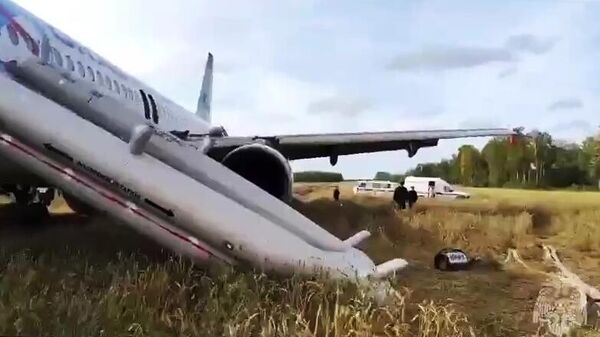 Putnički avion koji je prinudno sleteo u Novosibirskoj oblasti - Sputnik Srbija